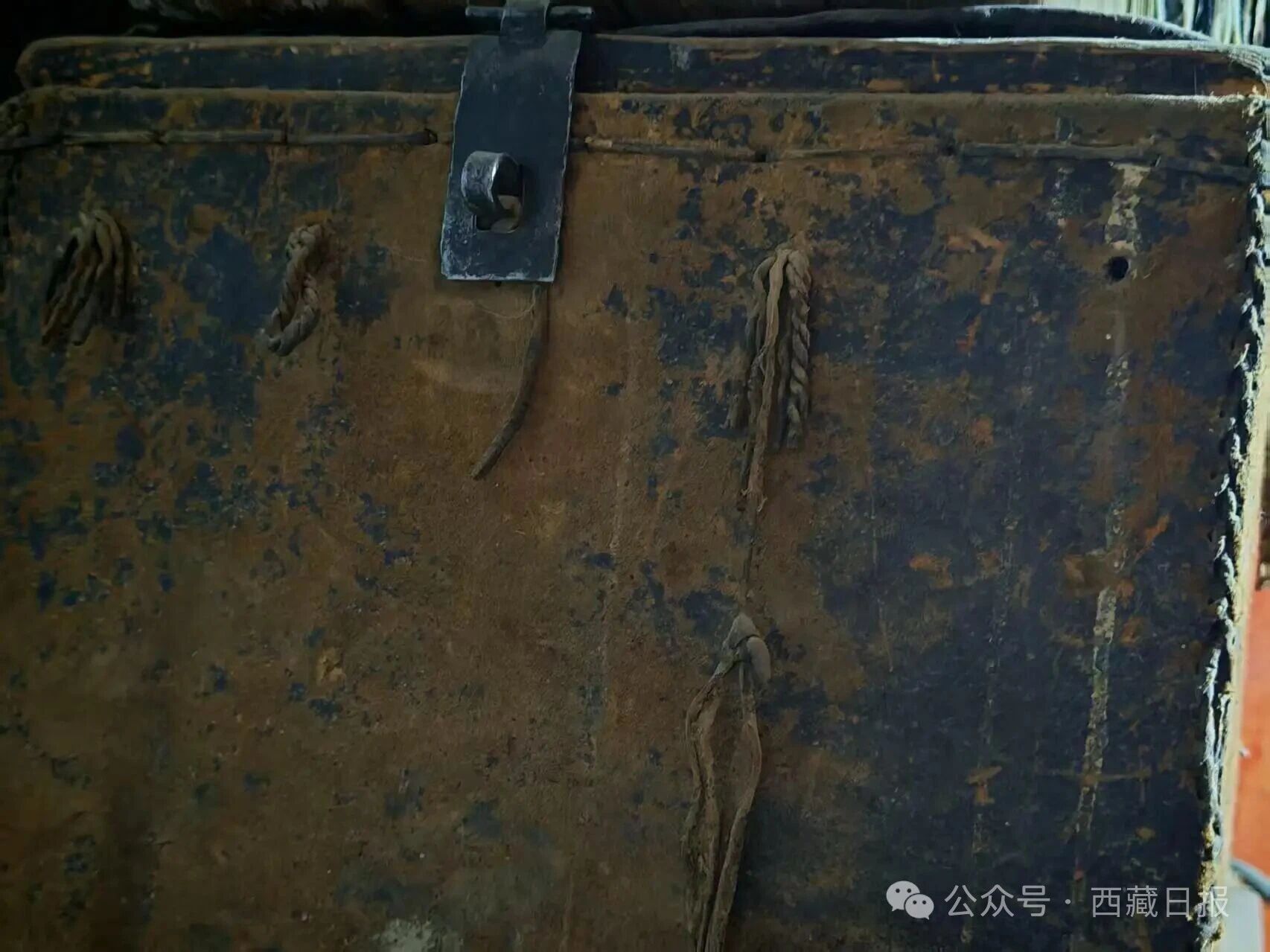 微信图片_2026-05-25_103239_132.jpg